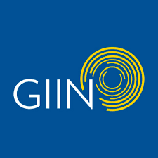 Global Impact Investing Network (GIIN)